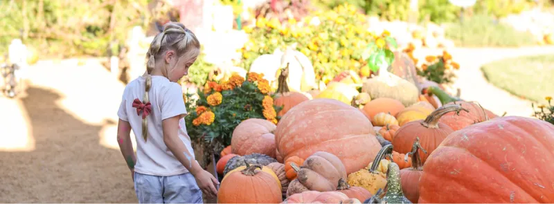 Halloween Festivities in OKC