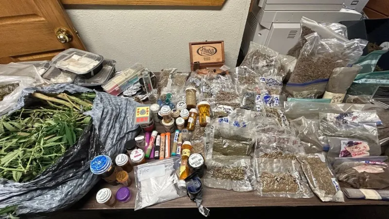 35 pounds of marijuana, 10 firearms seized in major bust in Lexington
