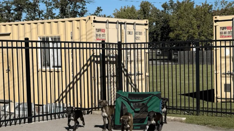 Animal Aid of Tulsa seeks donations and fosters after 5 puppies left outside thrift store