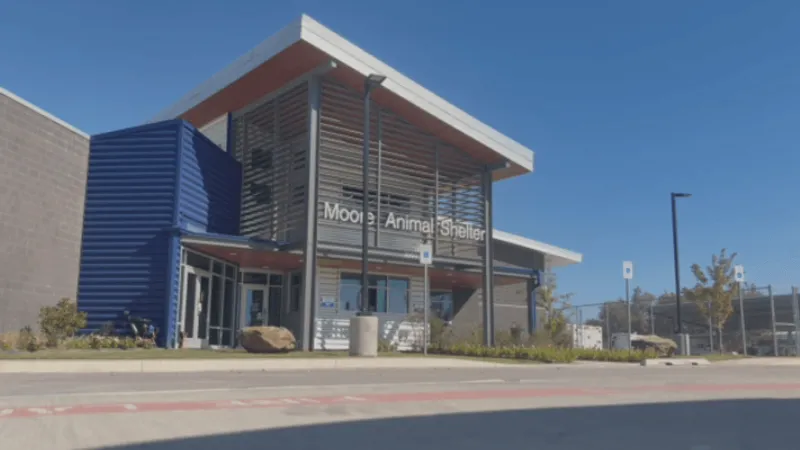 Moore Animal Welfare superintendent placed on administrative leave