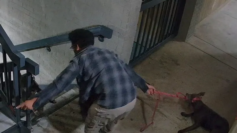 Police: Oklahoma man arrested after caught on camera abusing dogs