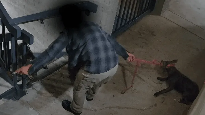 Tulsa Police arrest man accused of abusing his two dogs on surveillance video