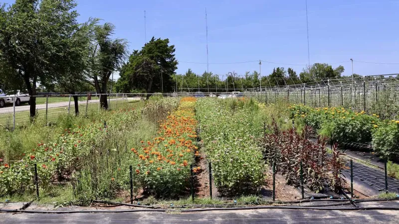Ralph's Ranch wins zoning fight, but challenges remain for small farms