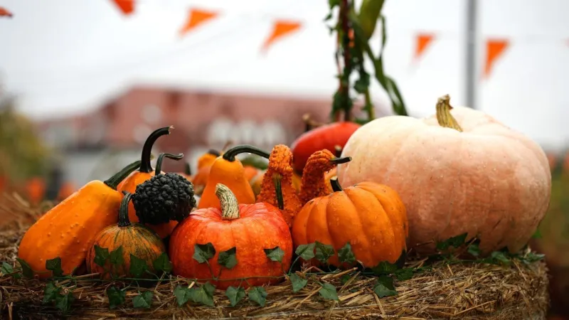 What's going on this weekend in Green Country?