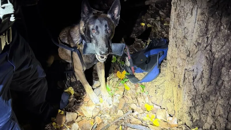 GOOD BOY: Bartlesville K9 officer praised for late night search, arrest