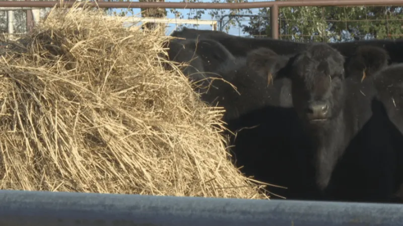 East Norman farmer pushes for development restrictions to protect farmland, water resource