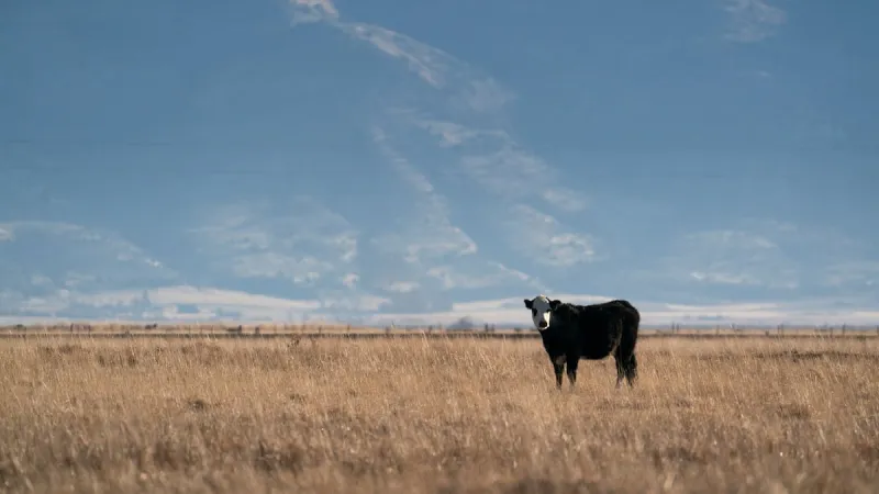 'The Evergreen': A rural Oregon town is going broke. Can it be saved?