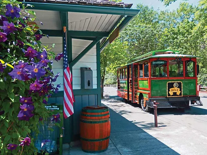 OUR THREE-TROLLEY TOWN -- by Don Litchfield