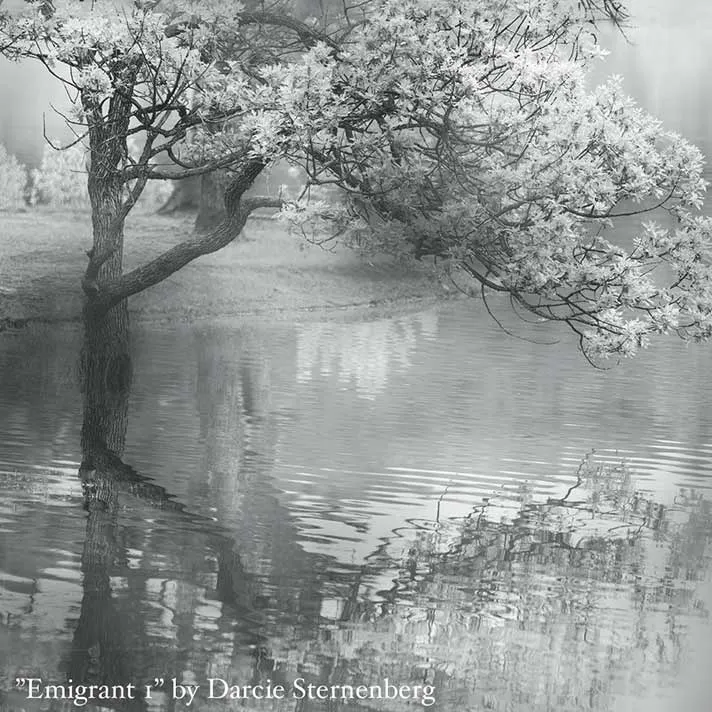 FEEL THE HEAT? SUMMER IS SIZZLING AT ART PRESENCE! -- by Mike Gantenbein