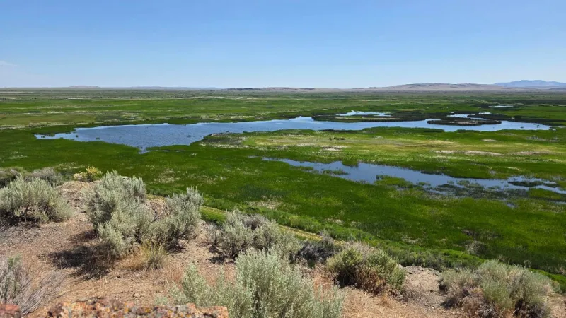 Feds Want Hunting Allowed on 95% of U.S. Wildlife Refuge Lands, And Oregon Is Right in the Middle of the Debate
