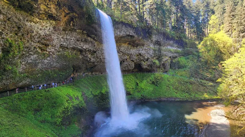 Oregonians Can Visit State Parks for Free on June 6 as Oregon Kicks Off Summer Season