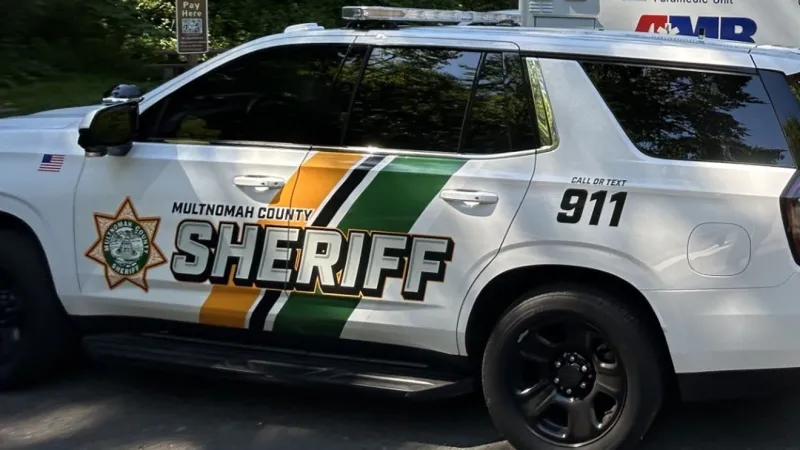 Road rage near Pleasant Valley ends in gunshots