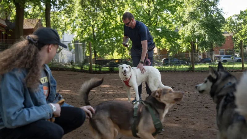 New dog park brings the bark back to Portland State