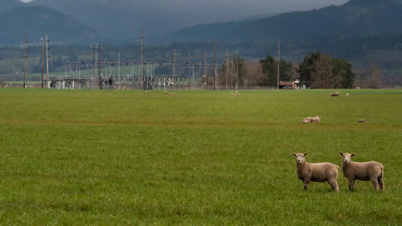 A proposed Willamette Valley solar park is back. Neighbors still oppose it