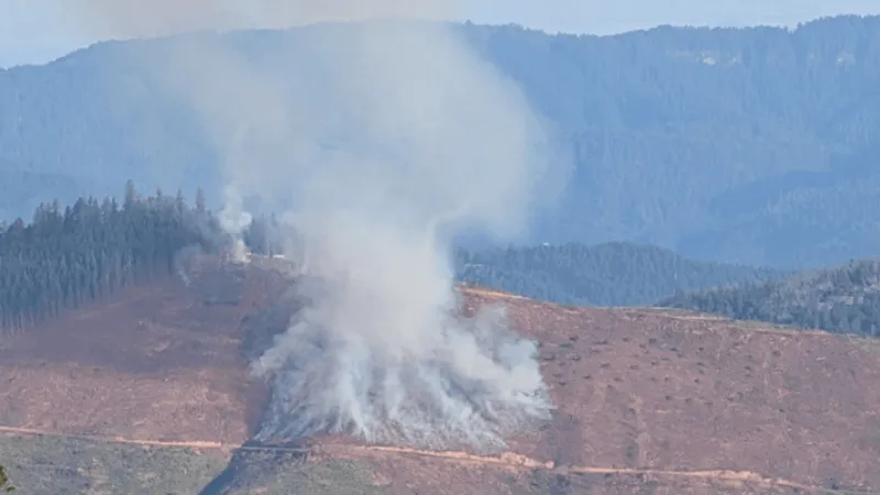 Fire crews battle 5-acre Kent Creek fire southwest of Winston