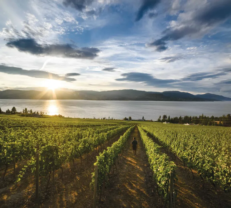 Okanagan Valley Sparkling Wine Guide