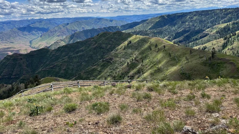 Senate Republicans propose rescinding 'roadless rule' - by tacking it onto federal wildfire bill