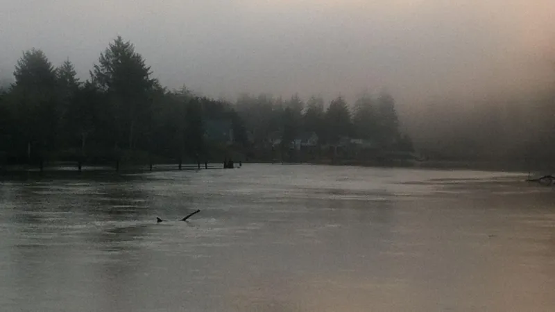Newport teen found dead after disappearing while swimming in Siletz River