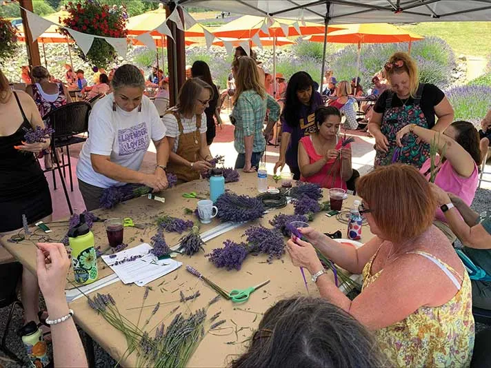 LAVENDER FESTIVAL WEEKEND JULY 10-12