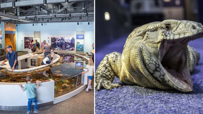 This Top-Ranked Oregon Aquarium Now Lets You Explore The Amazon Without Leaving The Coast