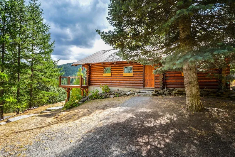 Family's Wholesome Weekend Plans To Unplug At Lake Cabin Ruined By Lack Of WiFi