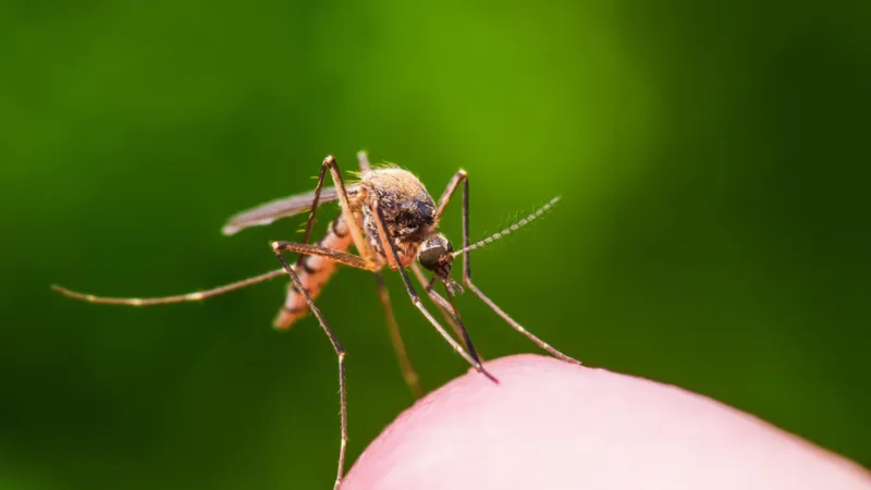 West Nile virus detected in Grant County, officials urge community to take caution