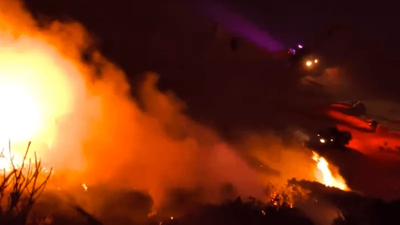 Lincoln City Police: Eight suspects launched fireworks off back porch causing brush fire