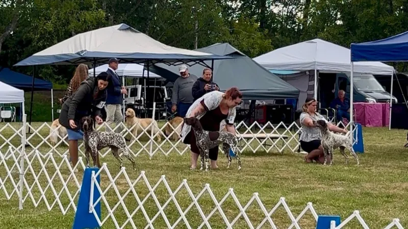 Dogs of all breeds compete at Coos Kennel Club Show in Coquille