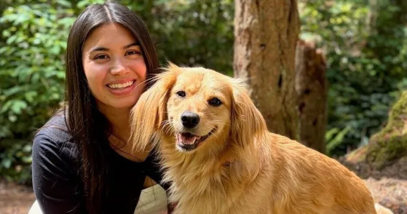Pet adoption is slowing - and money is a big reason why