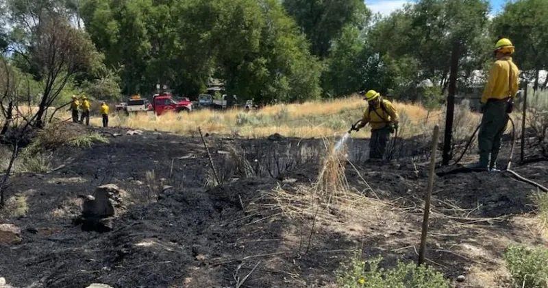 Vegetation fire stopped about 75 feet from Ontario residences
