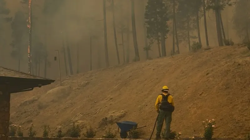 Firefighters battle new spot fires as East Evans Creek Fire spreads across road in Oregon