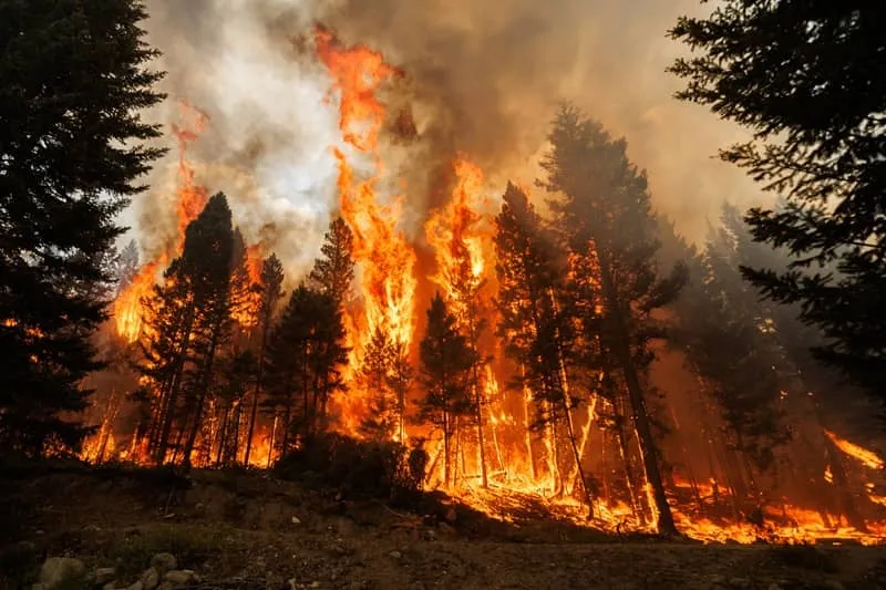 Who's Responsible for Oregon Wildfires?
