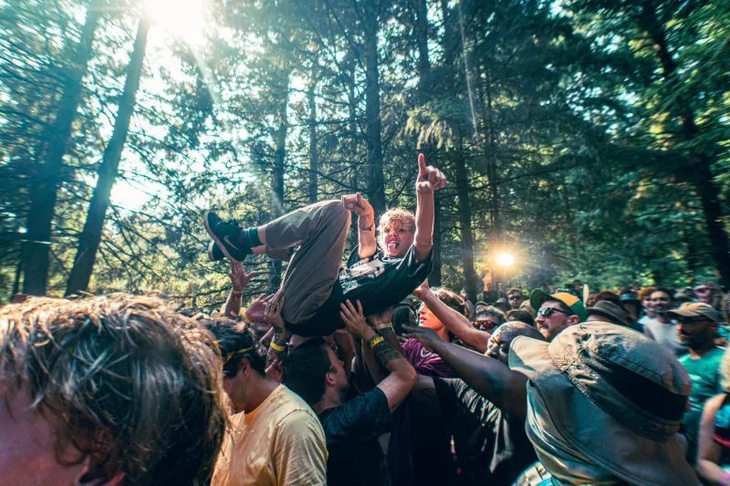 A Complete Newbie's Guide to Pickathon