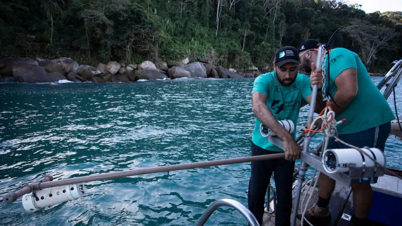 A Brazilian bay's surprise shark nursery sparks conservation project