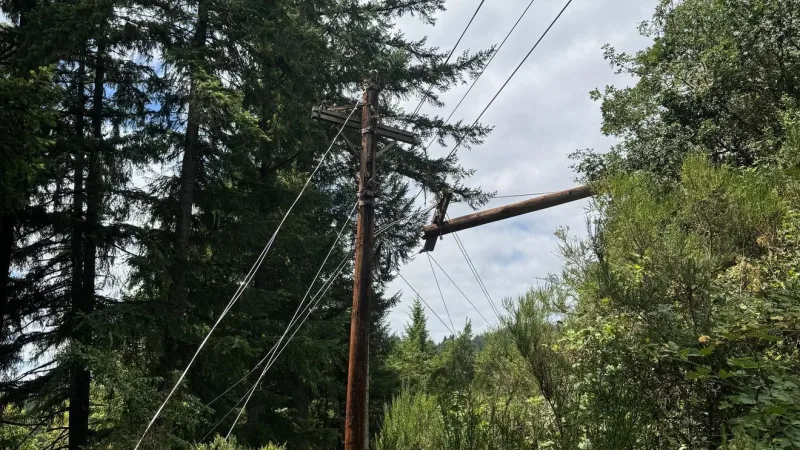 Douglas Electric restores power north of Drain after tree hits line