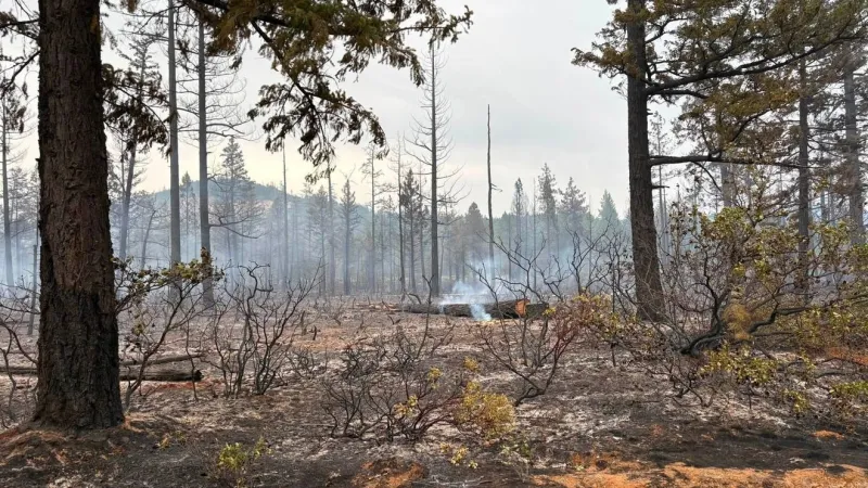 Firefighters make progress on Waldo and Ridge Vista fires