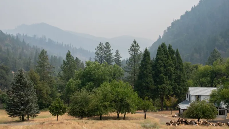 Douglas County cancels Level 1 evacuation notices for East Evans Creek Fire areas
