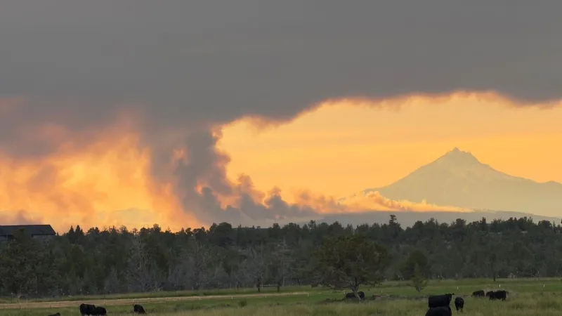 Tips to keep in mind amid fire season