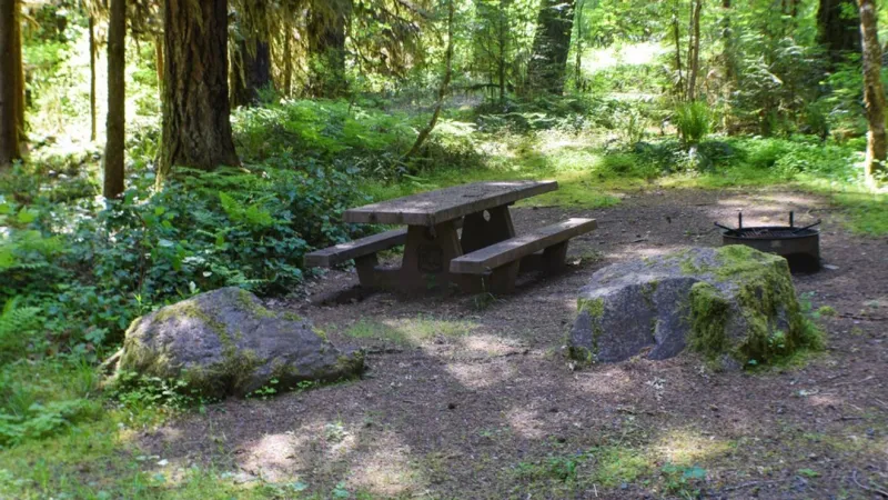 Umpqua National Forest to increase Public Use Restrictions on July 24