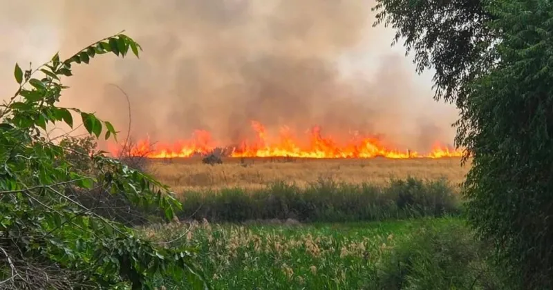 Crews respond to 100-acre Gold Island Fire south of Nyssa