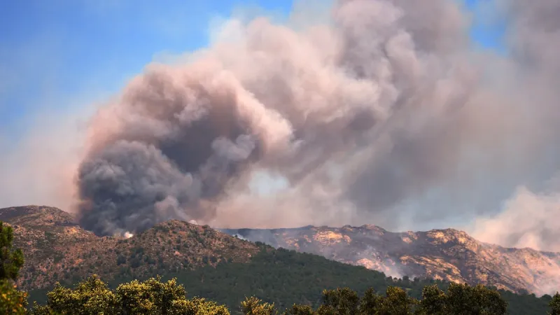 Tens of thousands of people flee raging wildfires in France and Spain, some escaping by boat