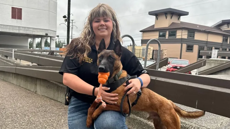 Tex takes over as South Coast's new narcotics K-9