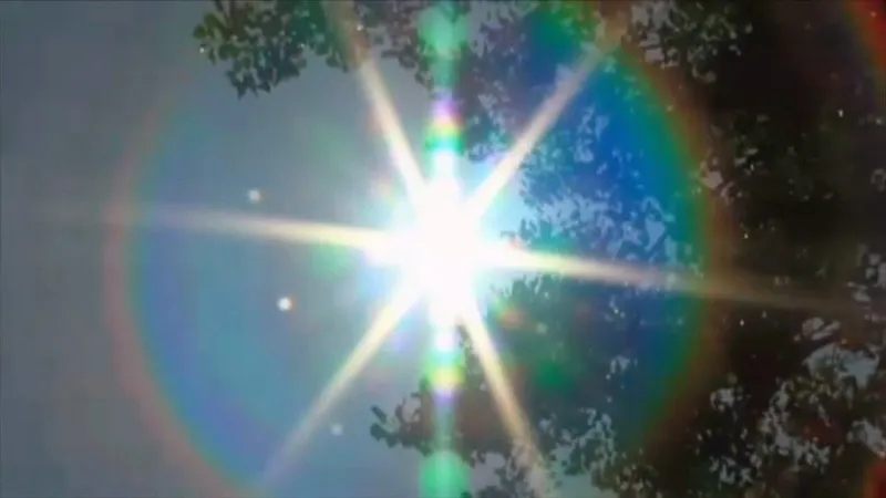 Afternoon Sun to Round Out the Weekend