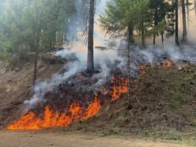 CASTLE FIRE UP TO 1,400 ACRES IN THE UMPQUA NATIONAL FOREST