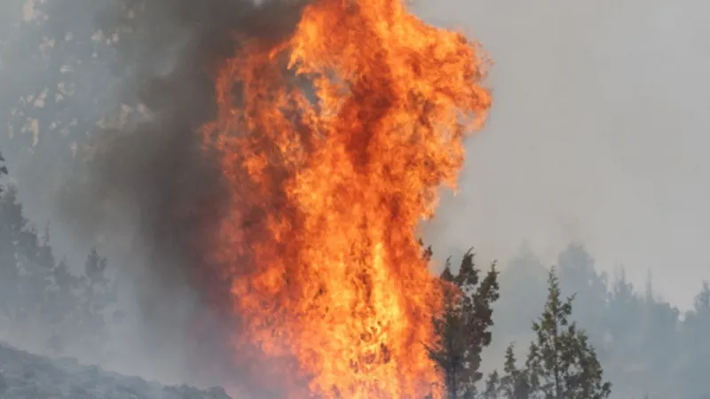 How does the 2026 wildfire season compare to other seasons this decade?