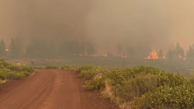 What Oregon's wildfire history can teach us about today's fire season
