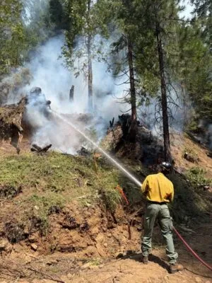 CASTLE FIRE AT 1,500 ACRES, ZERO PERCENT CONTAINMENT