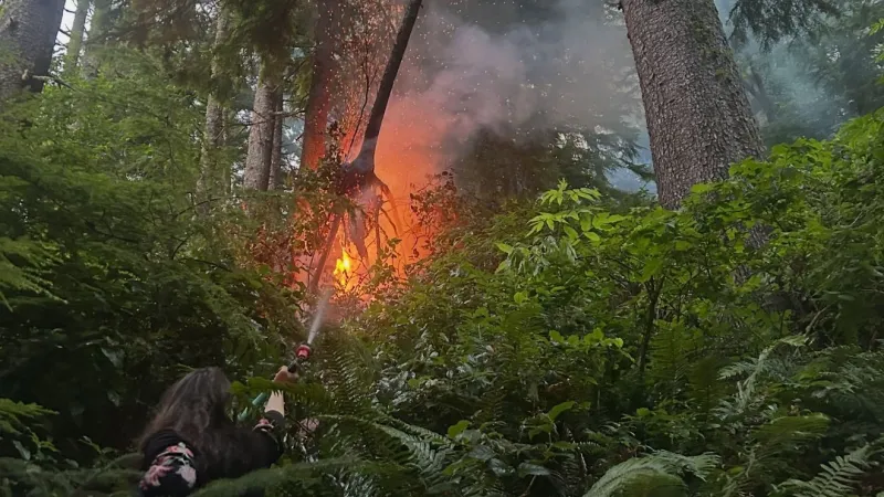 Seaside Fire & Rescue contains small vegetation blaze near Tillamook Head Trailhead