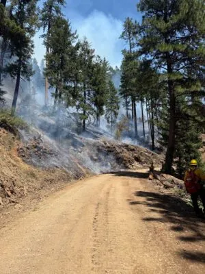 CASTLE FIRE NOW AT 1,550 ACRES, ZERO PERCENT CONTAINMENT