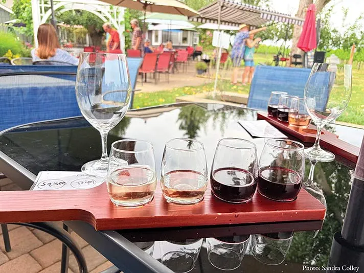 DAISY CREEK VINEYARD: THE JACKSONVILLE GEM WE WAITED TOO LONG TO VISIT -- by Sandra Colley